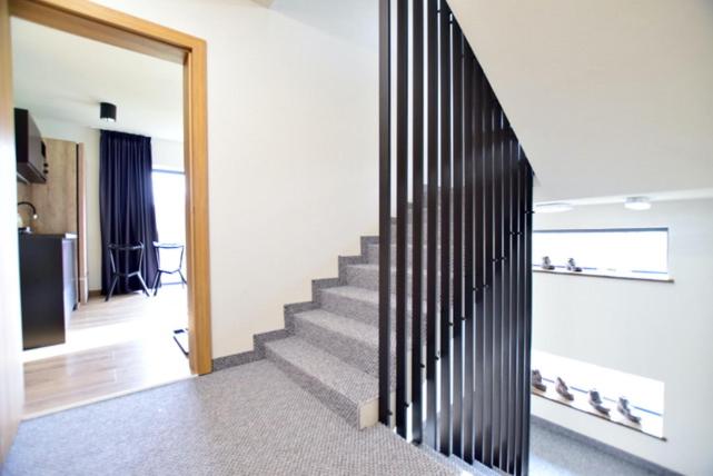 One-Bedroom Apartment - Photo 7