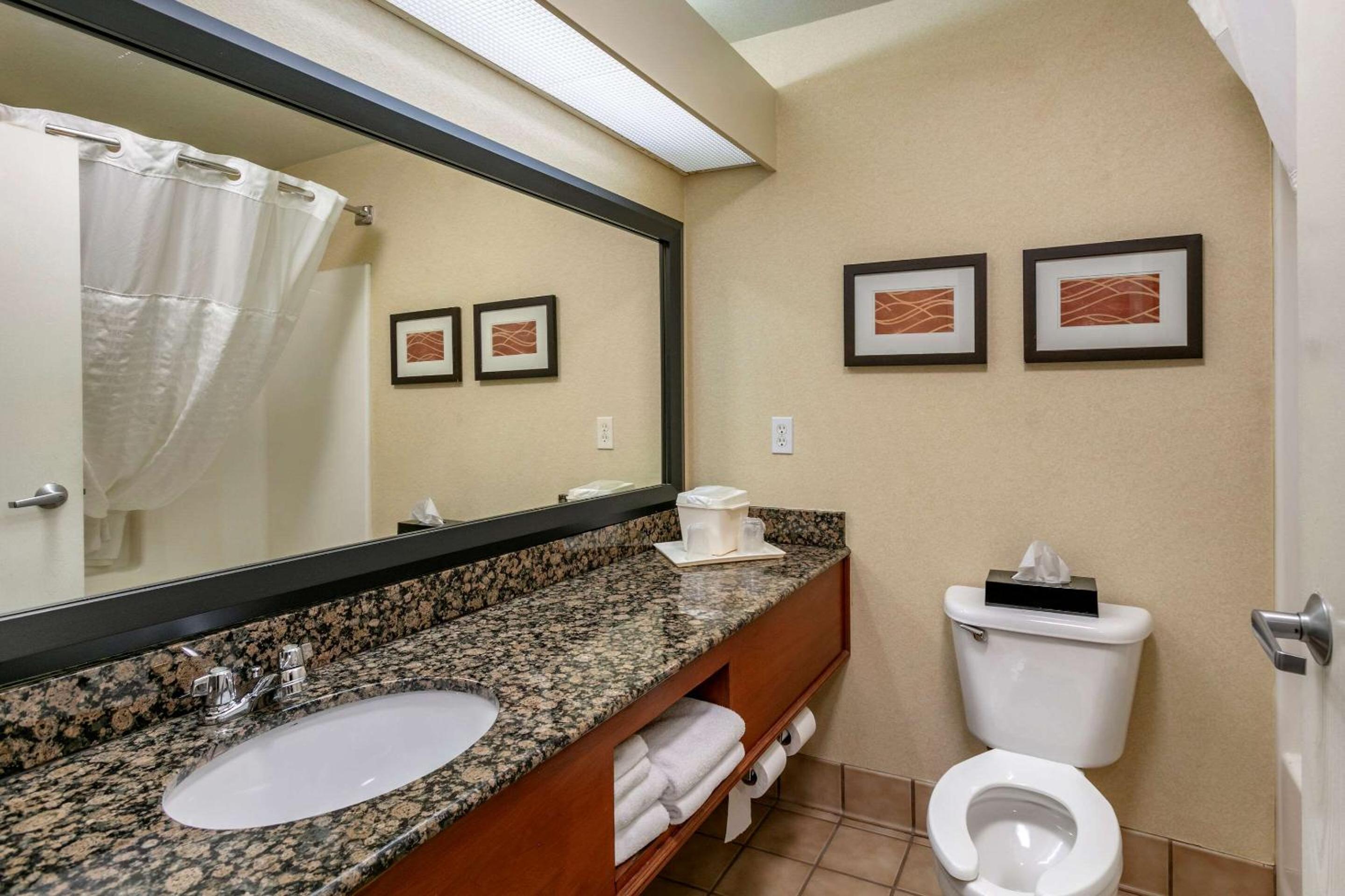King Suite - Non-Smoking - Photo 4