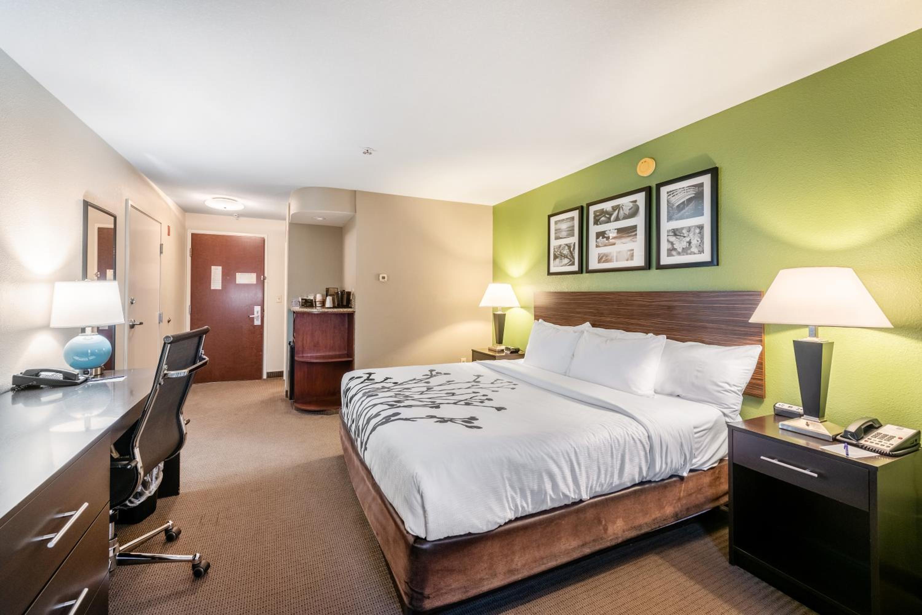 King Room - Non-Smoking - Photo 1