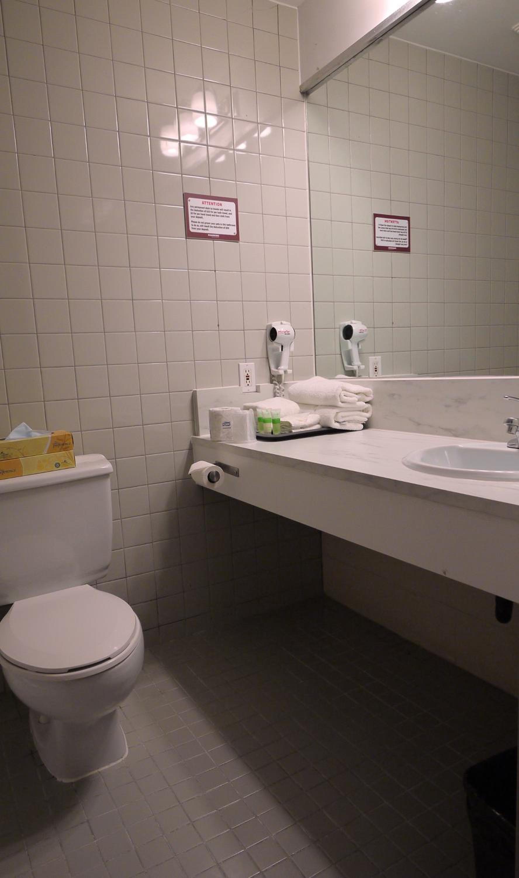 Standard Quadruple Room - Non Pet Friendly - Photo 6