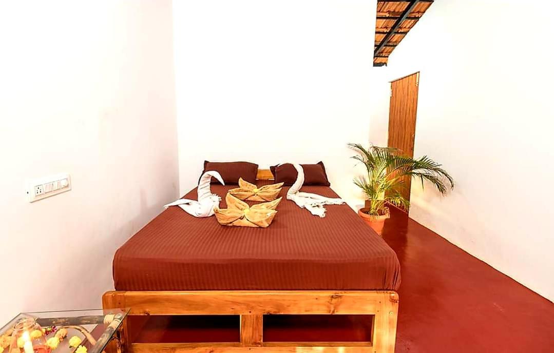 Deluxe Room photo 3