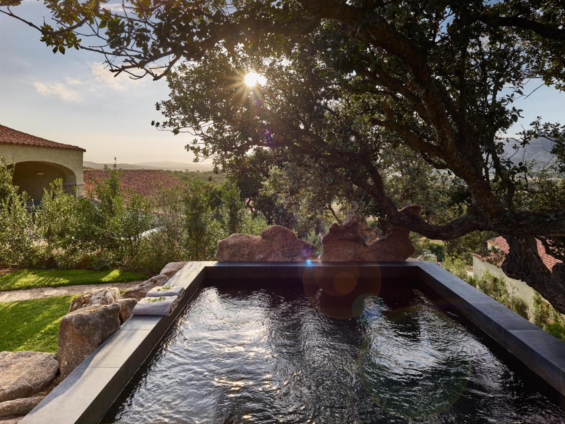 Deluxe Suite with Private Pool - Photo 3