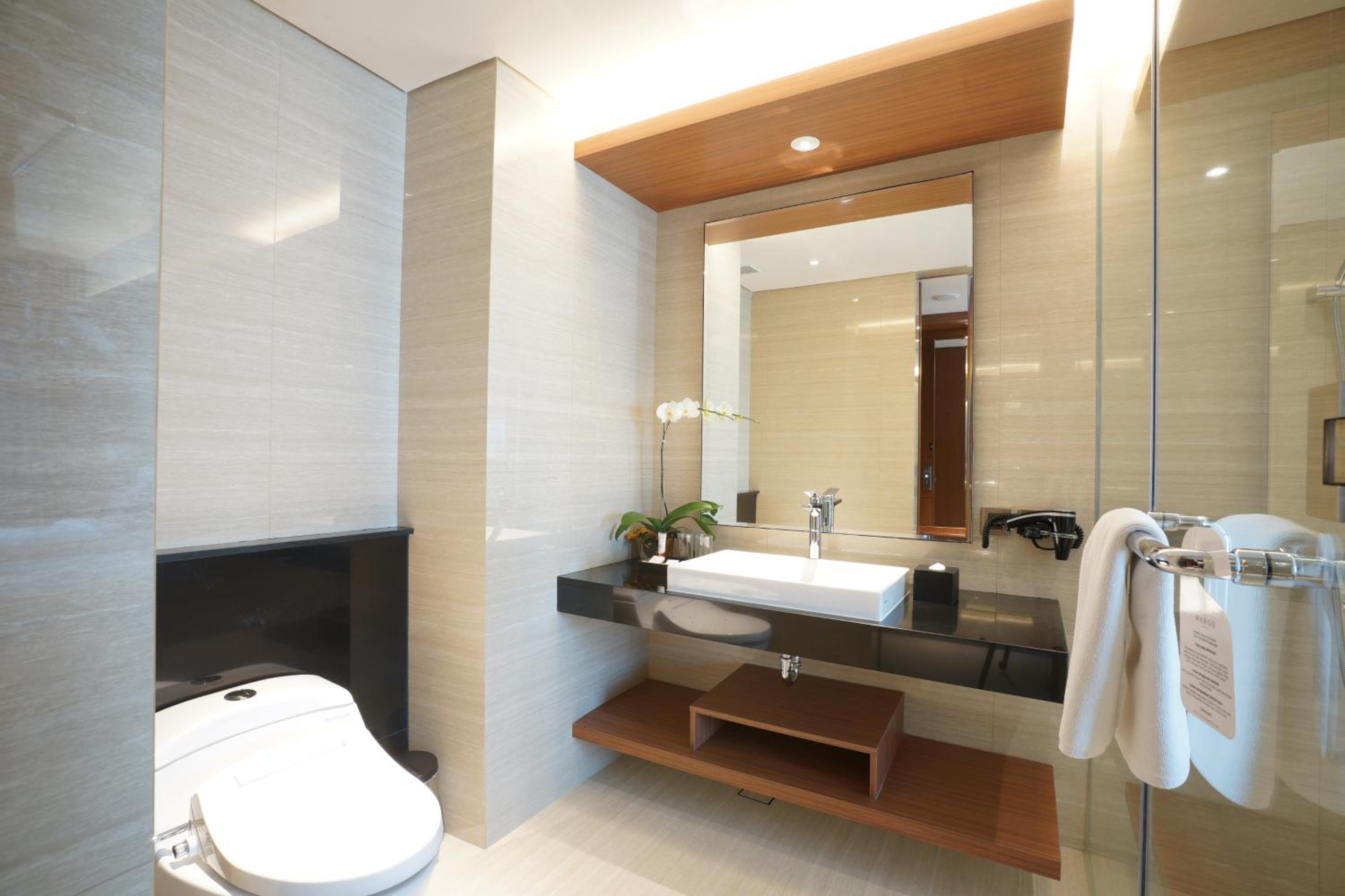 Deluxe Twin Room photo 2