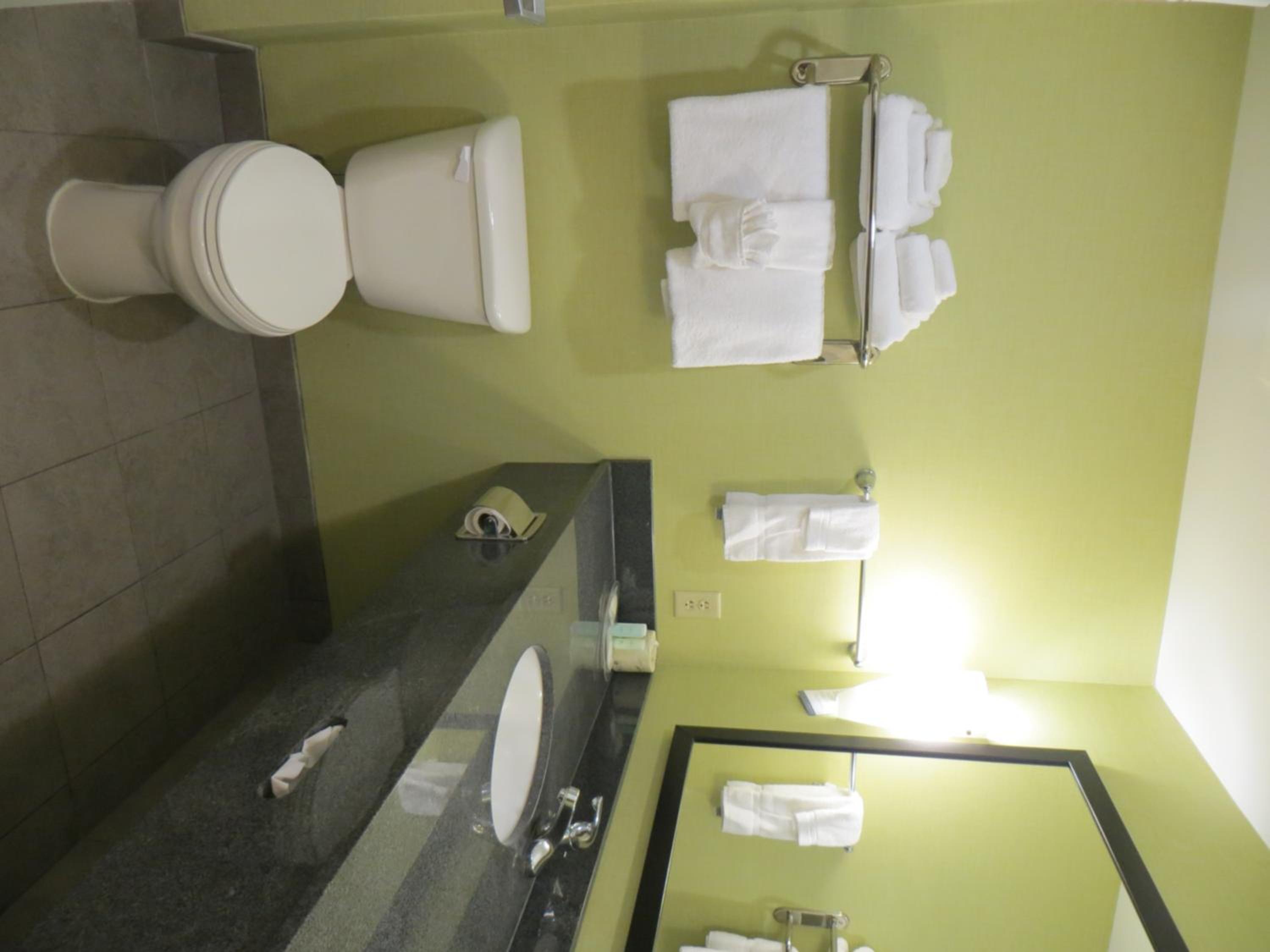 King Suite - Disability Access/Non-Smoking - Photo 9