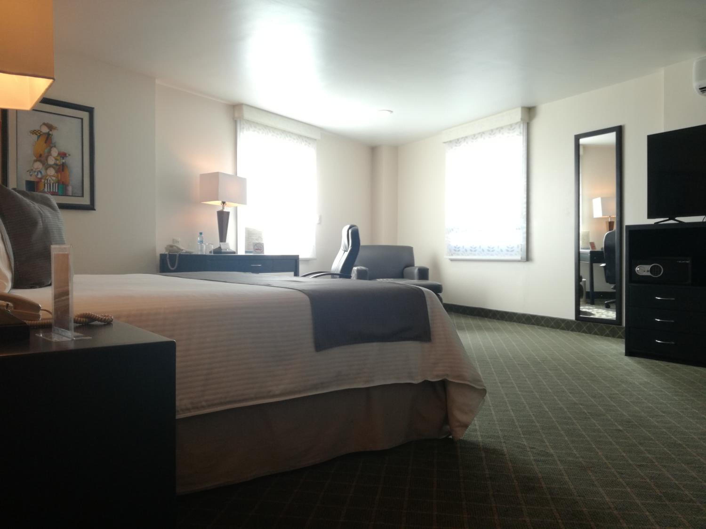Junior Suite photo 1