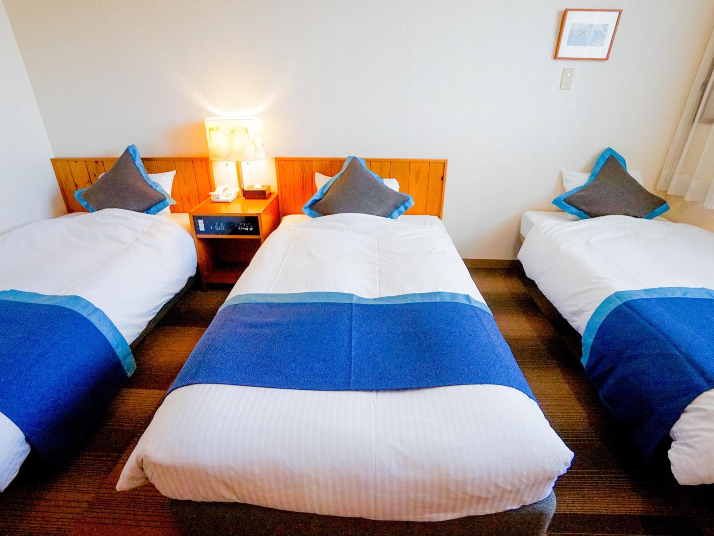 Standard Triple Room - Photo 2