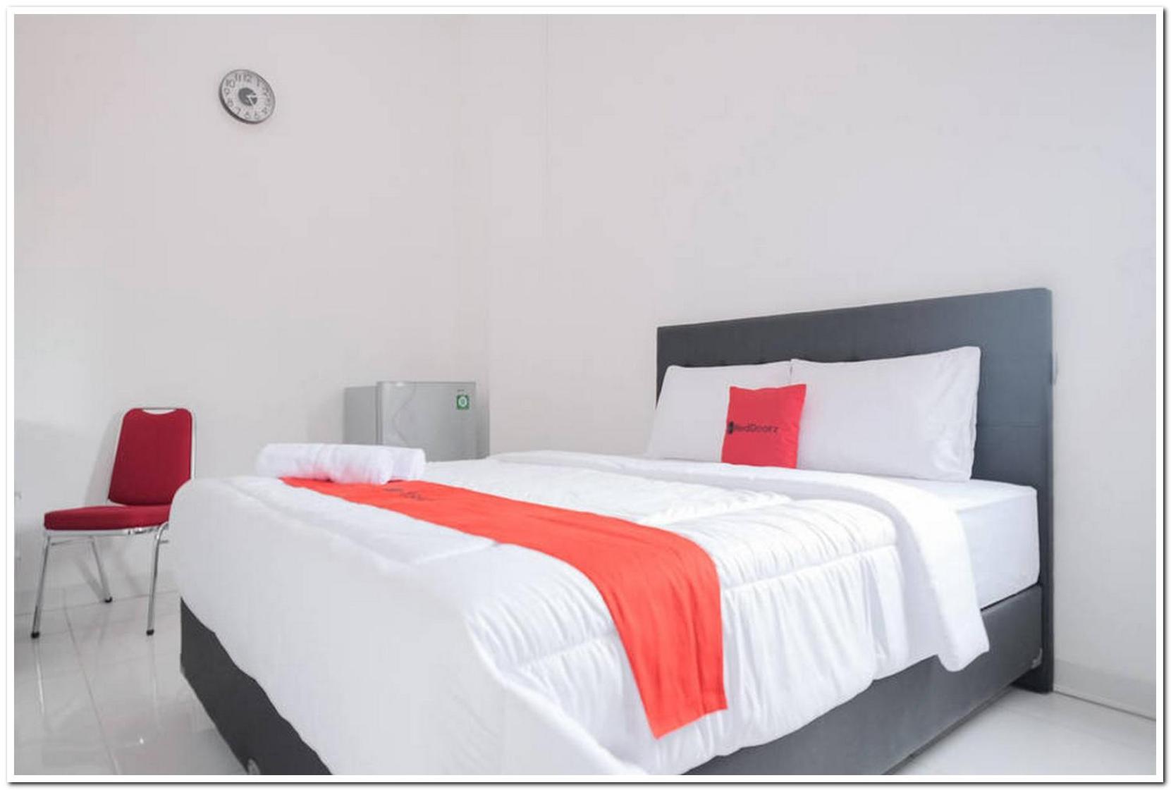 Suite - Photo 1
