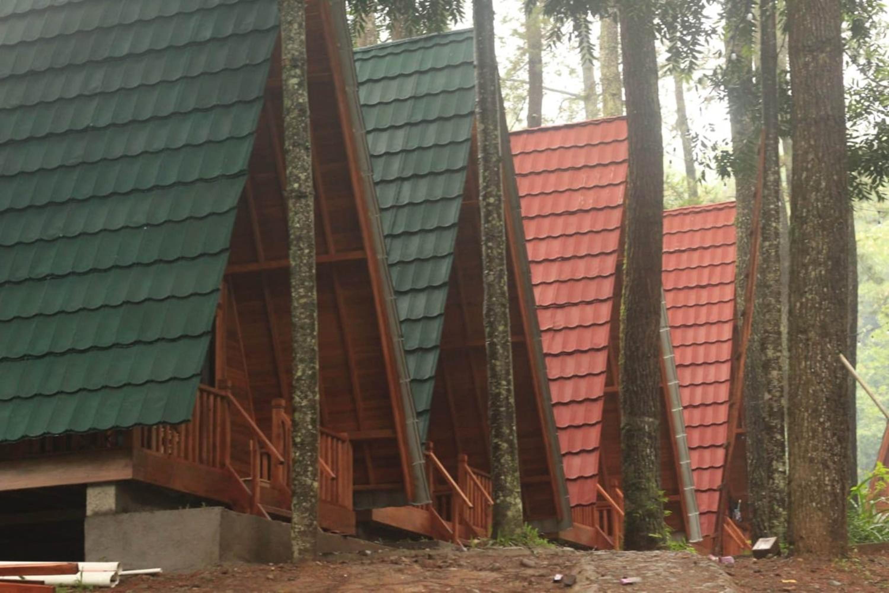 Pinus Double Room photo 3