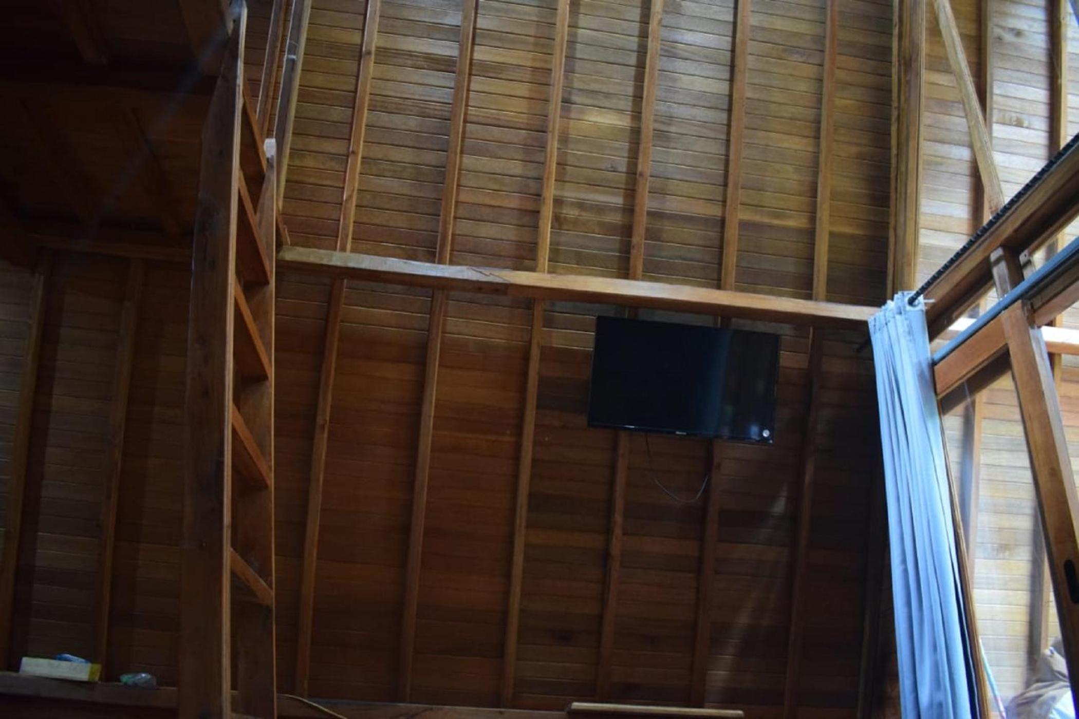 Pinus Double Room photo 1
