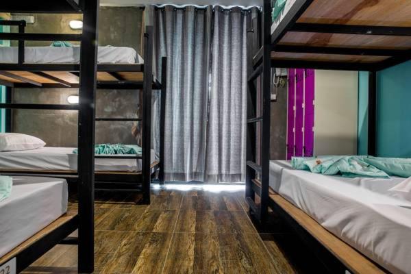 6-Bed Mixed Dormitory Room