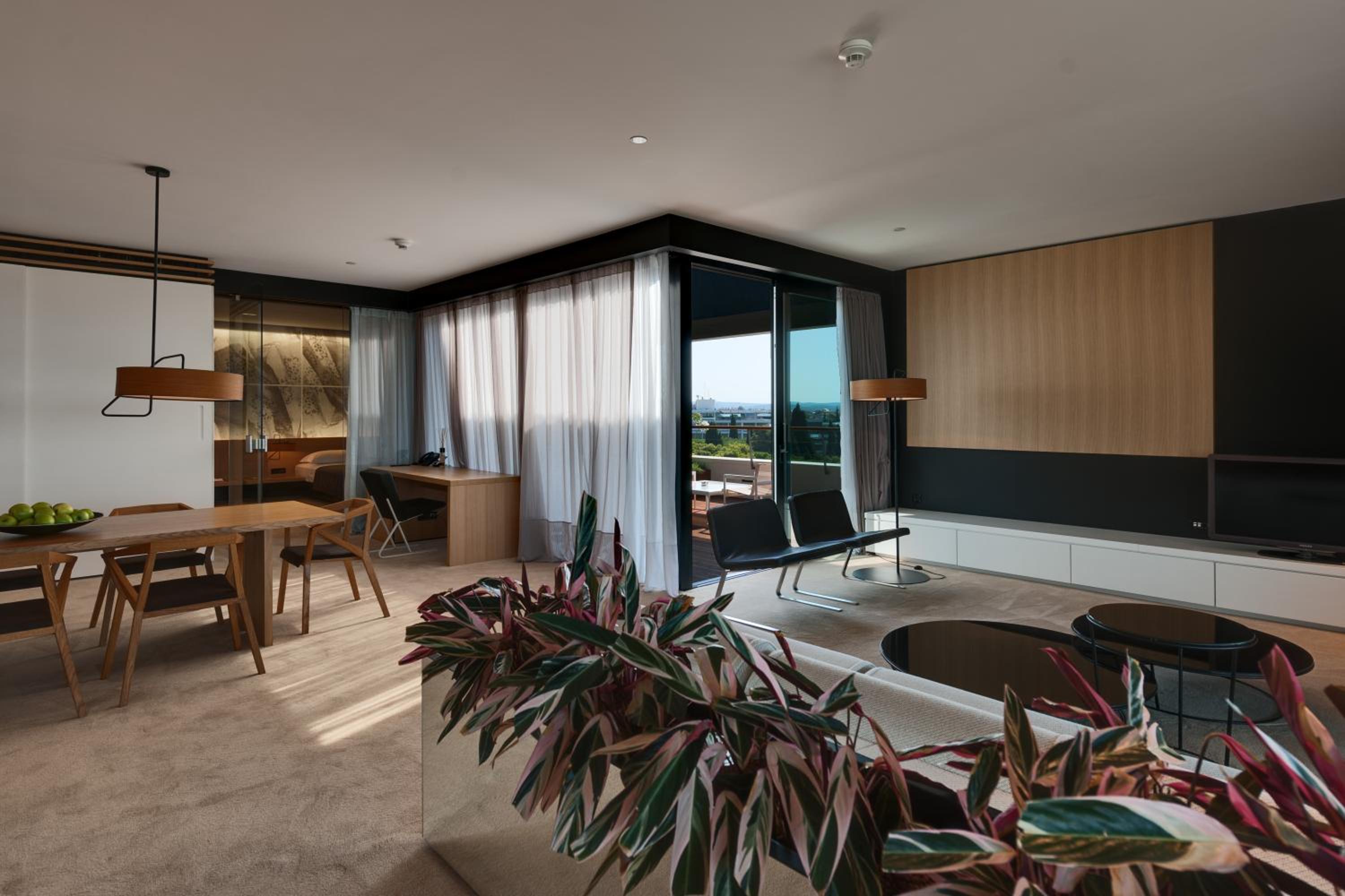 Suite - Golden Cape - Photo 3