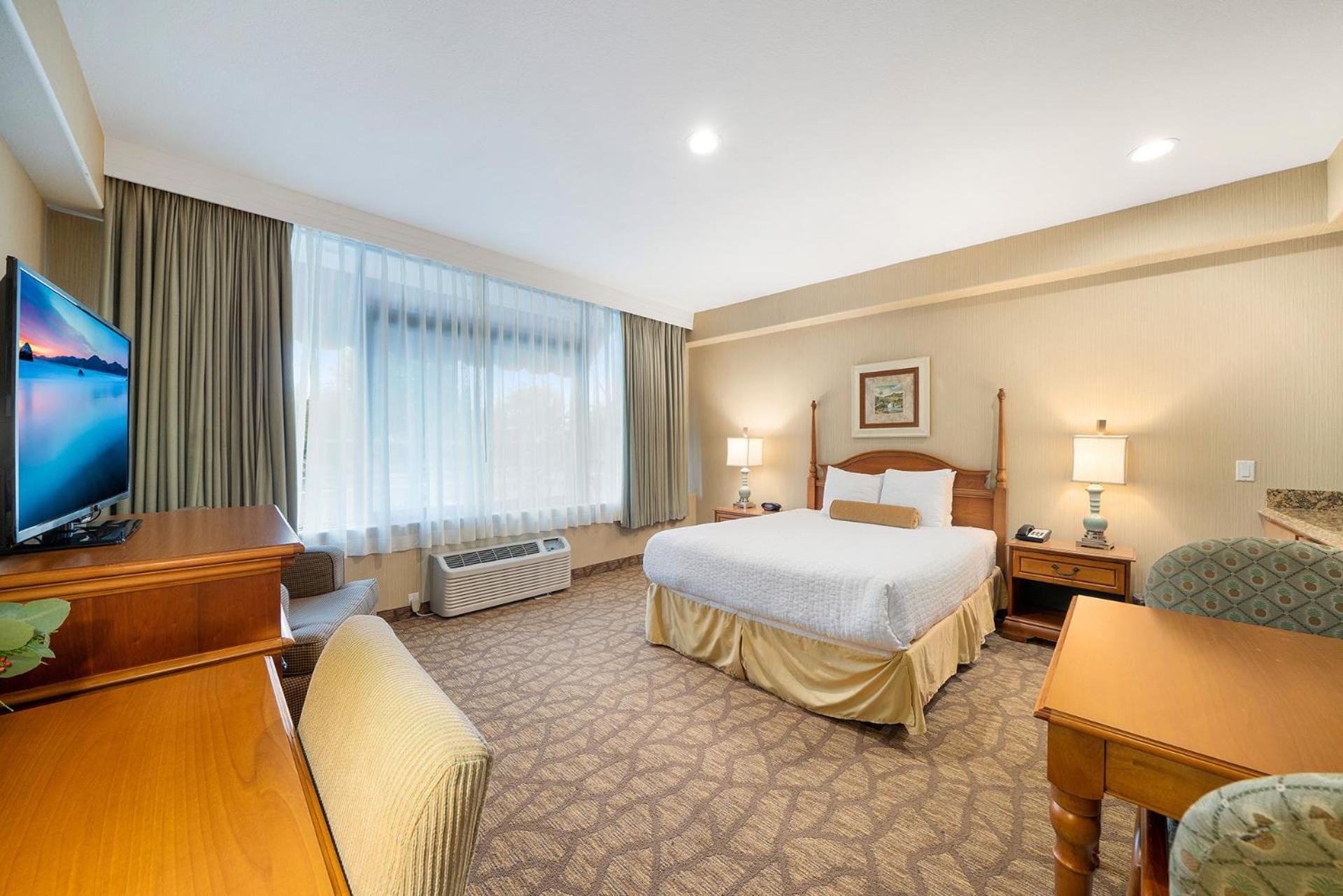 King Room - Non-Smoking - Photo 3
