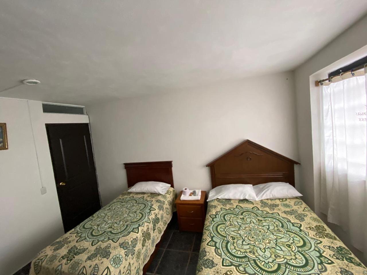 Twin Room photo 1
