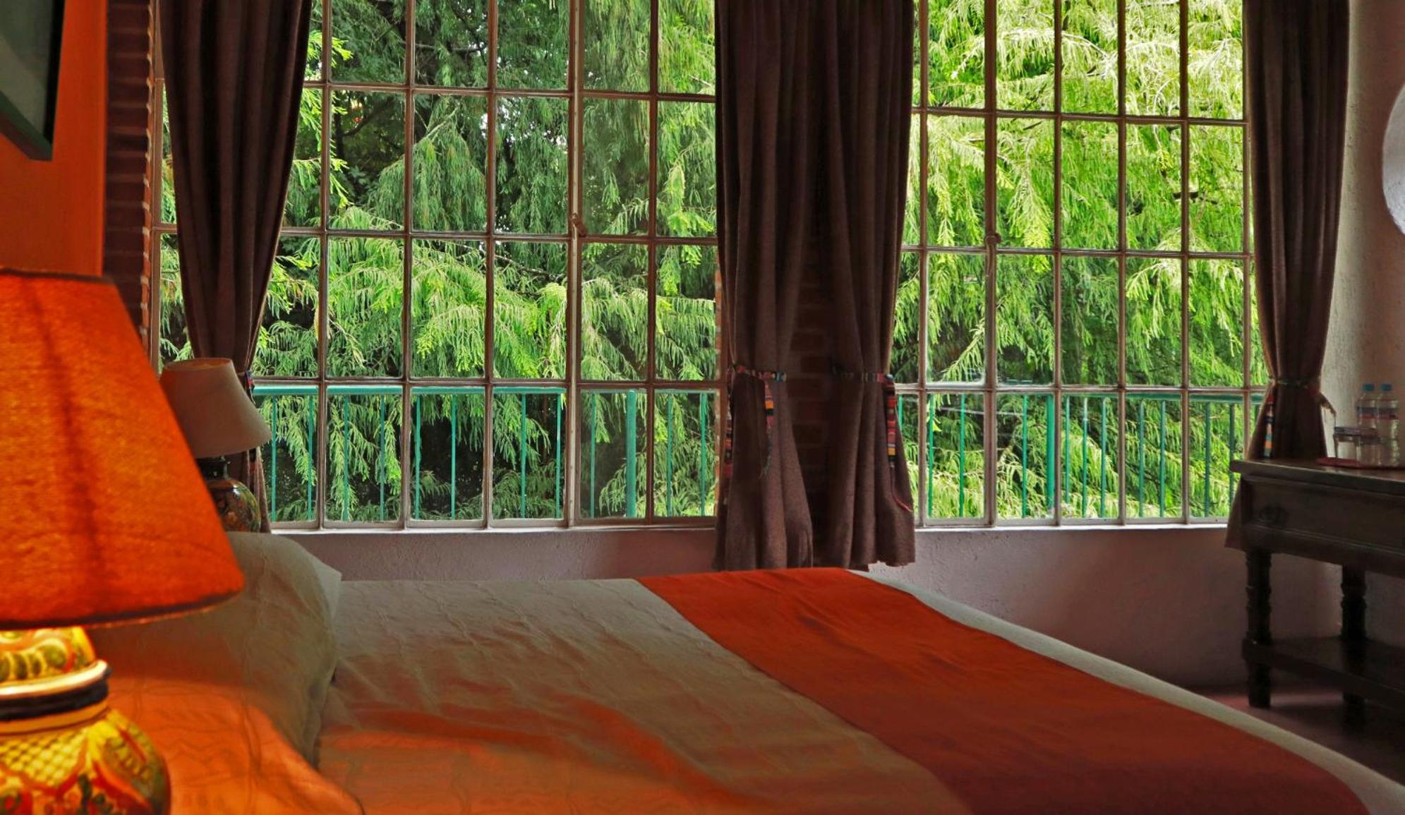King Room photo 1