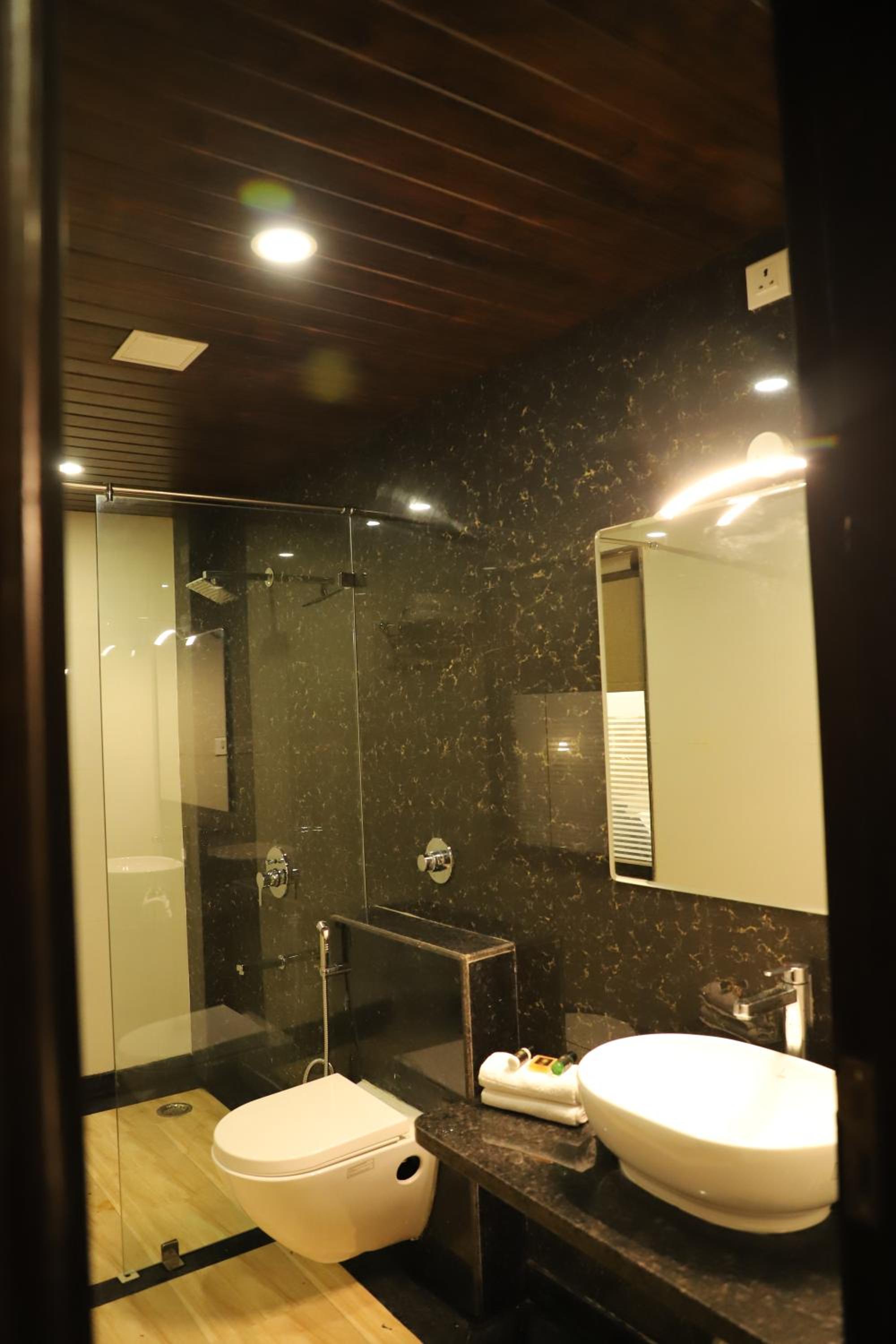 Deluxe Room - Photo 11