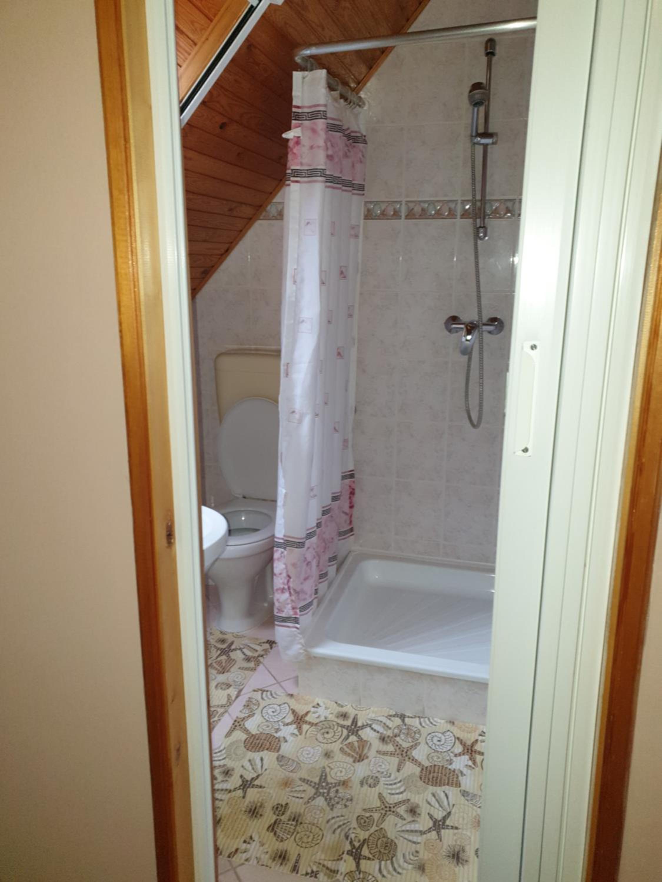 Family Room with Shower photo 3