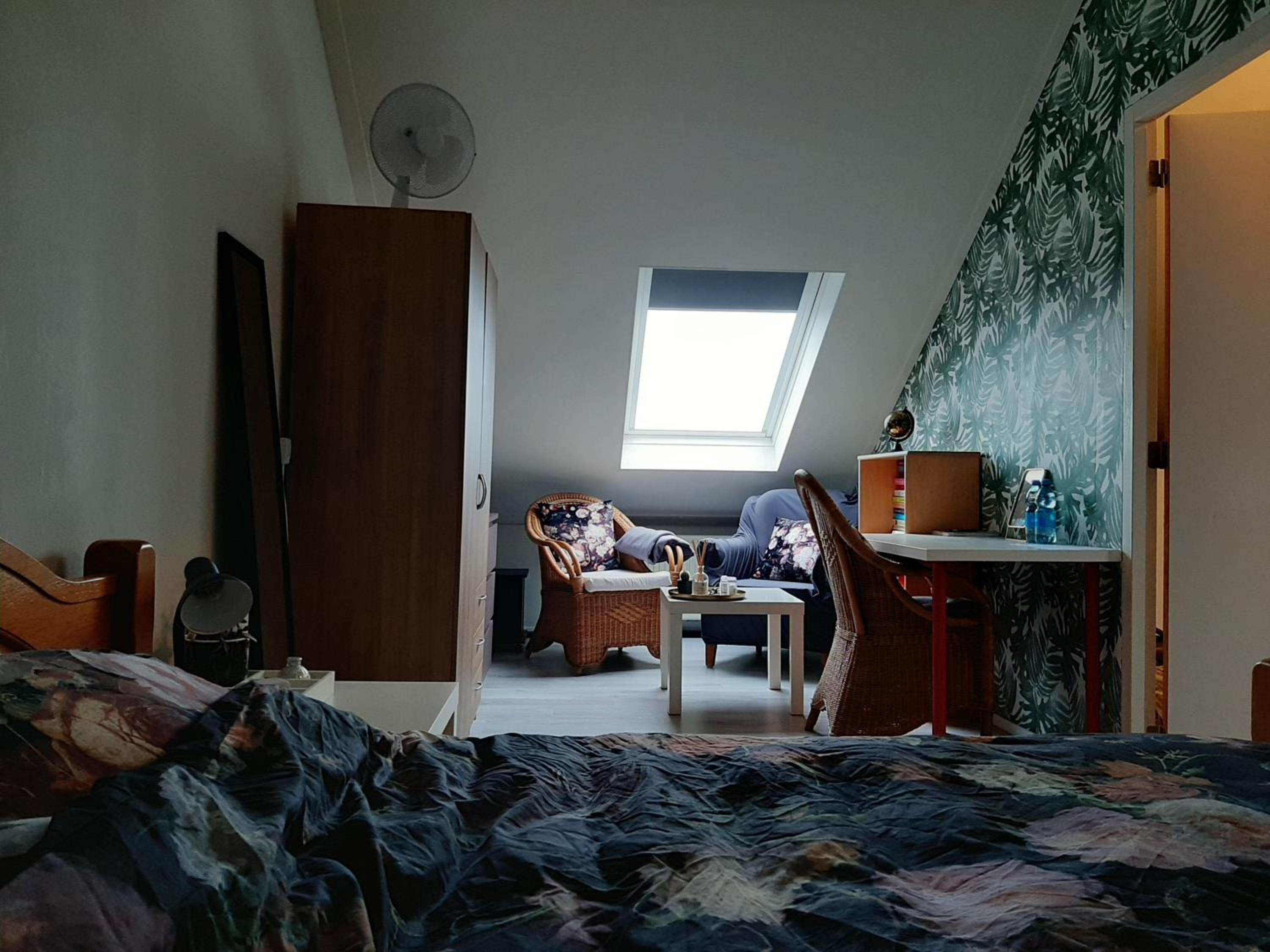 Large Twin Room photo 1