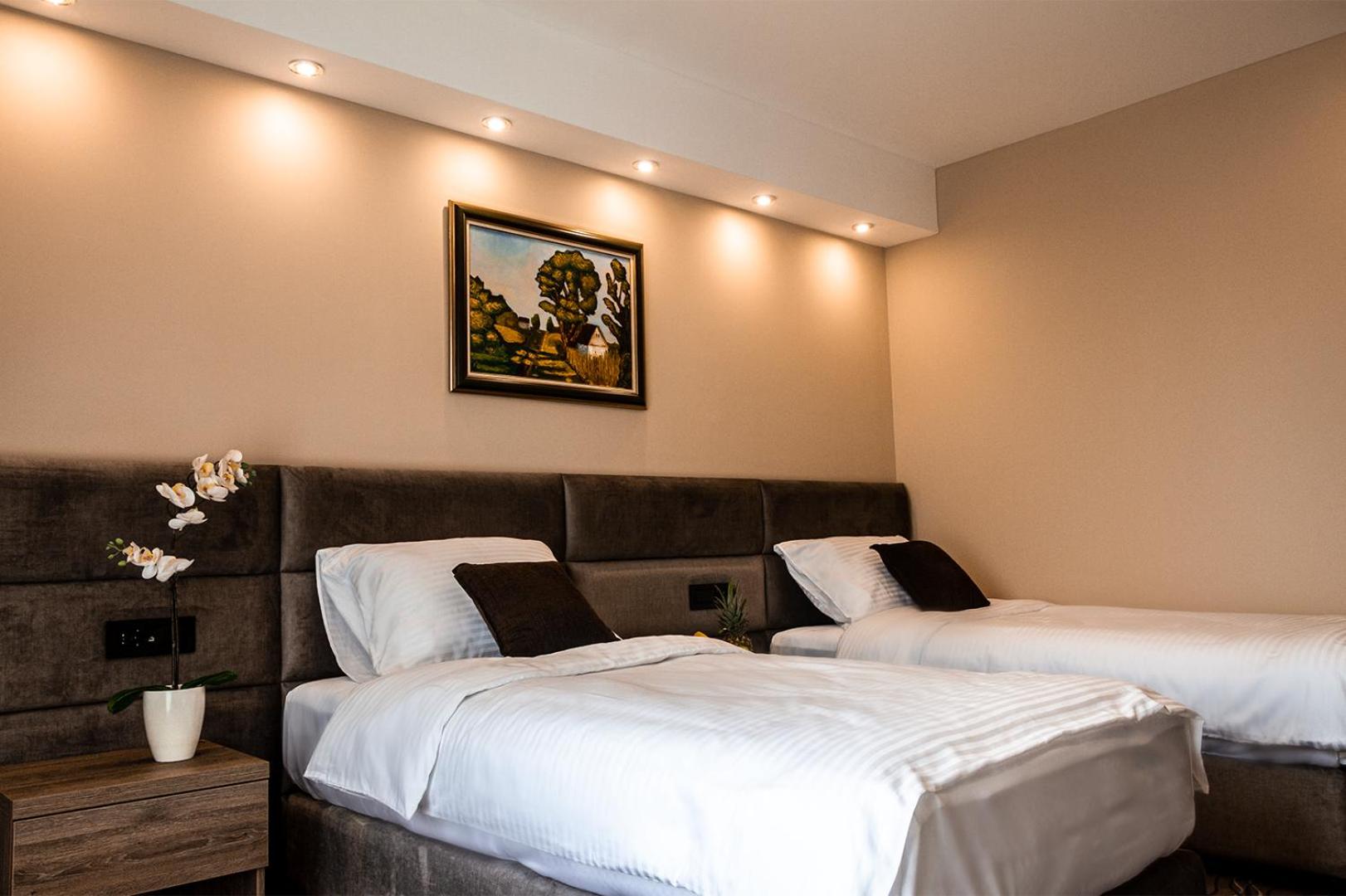 Deluxe Twin Room photo 3
