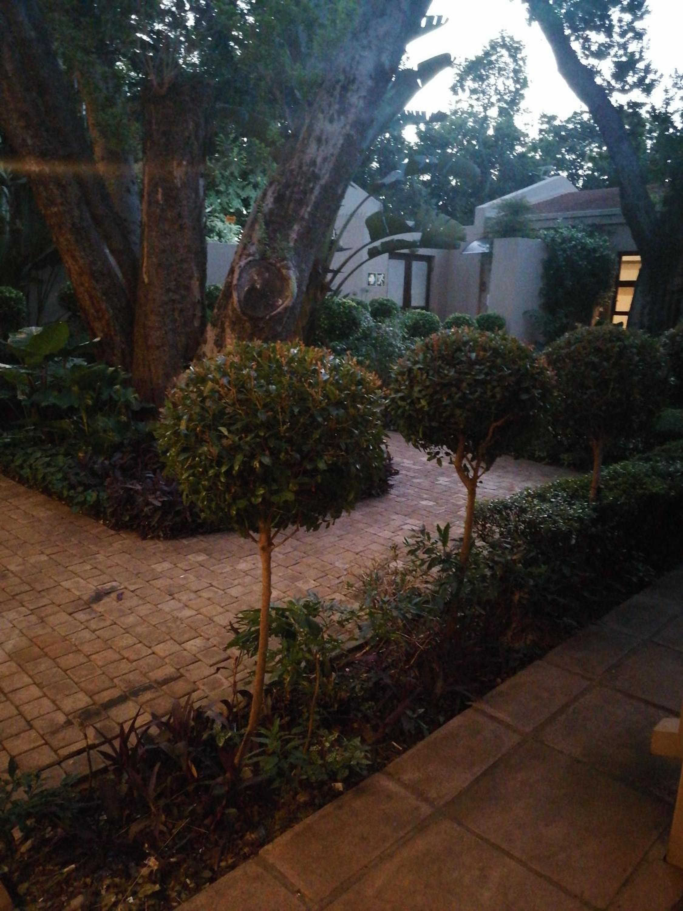 Double Room with Garden View - Photo 6