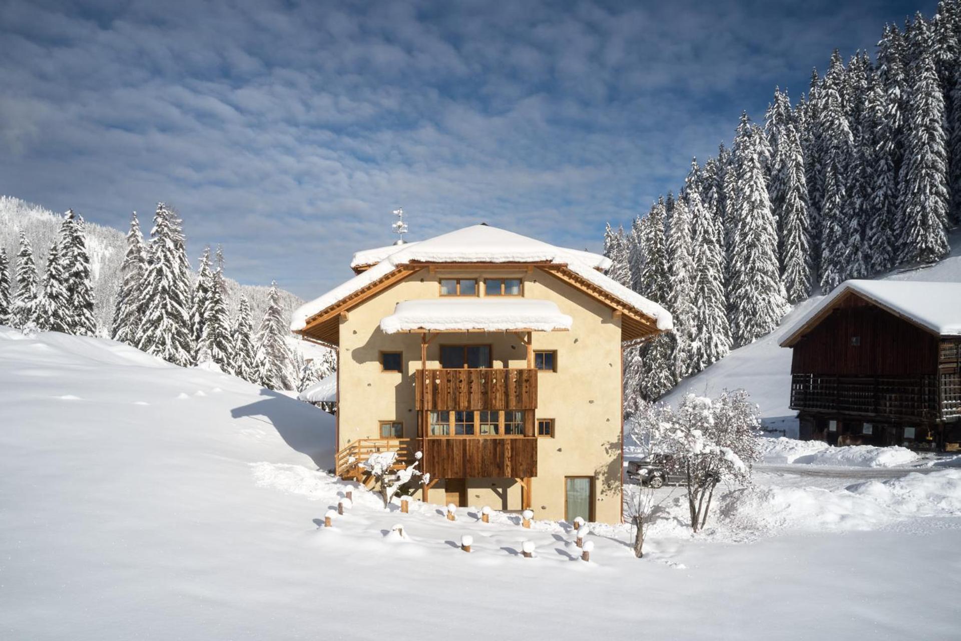 Three-Bedroom Chalet photo 3
