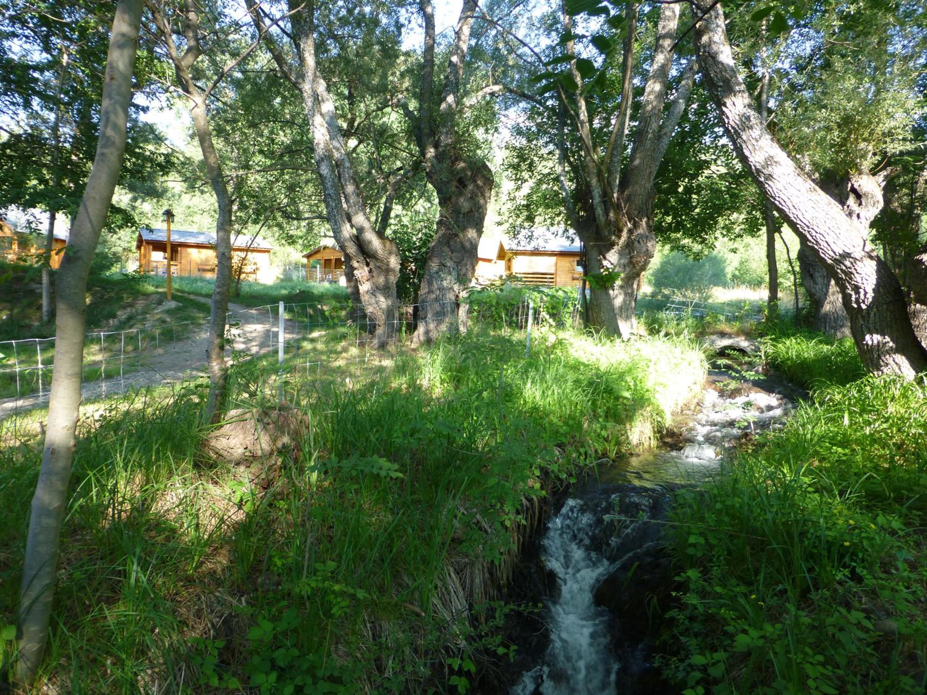 Standard Chalet - Photo 8