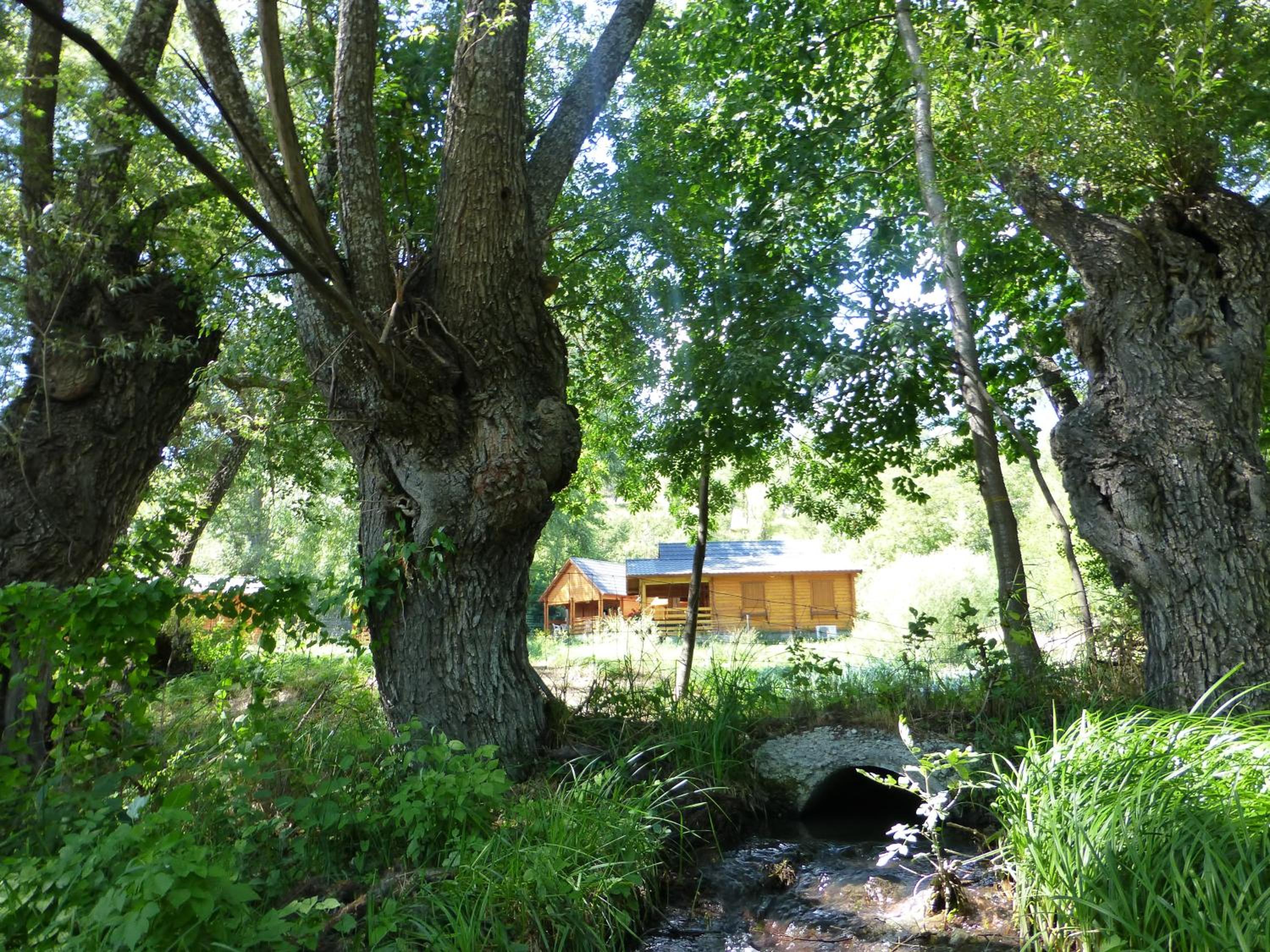 Comfort Chalet - Photo 10