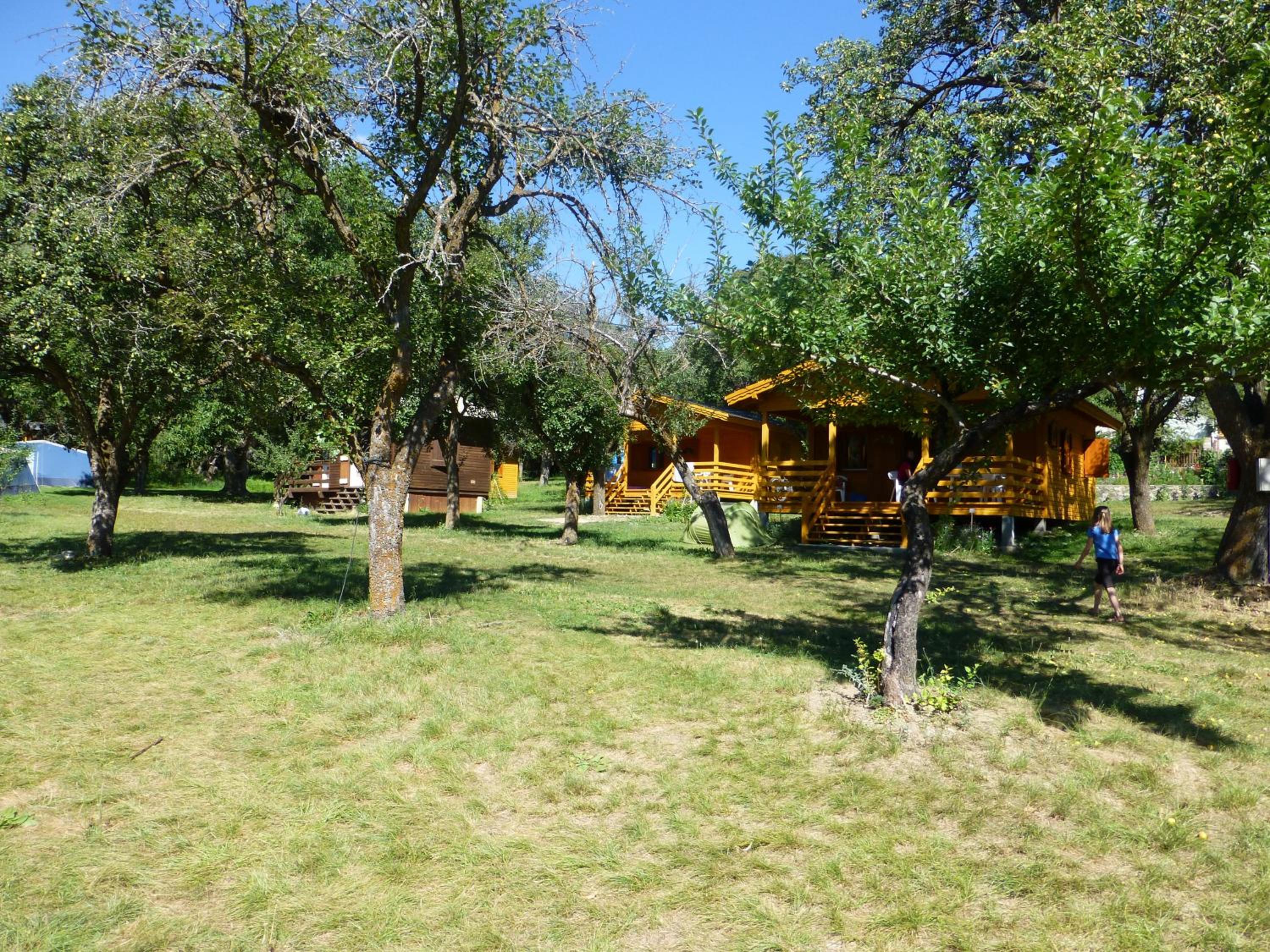 Comfort Chalet - Photo 11