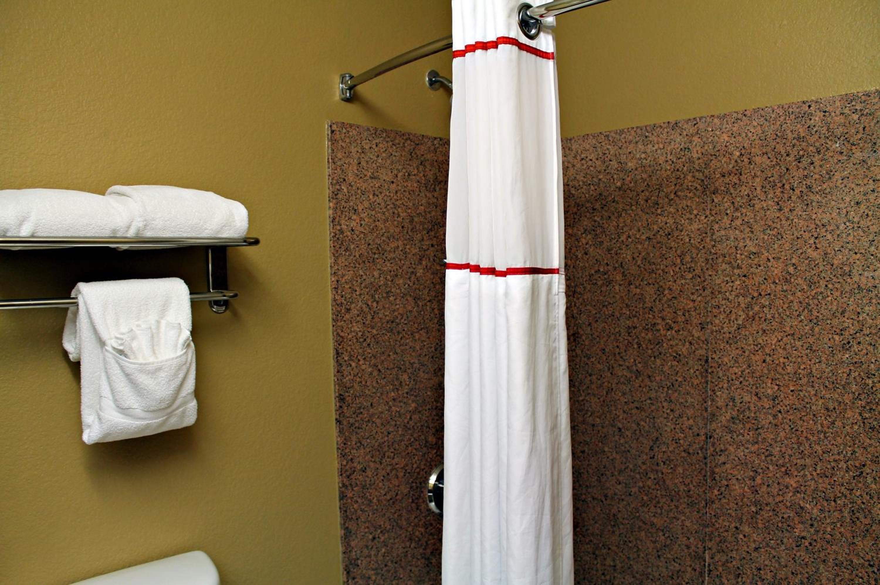 One-Bedroom King Suite - Non-Smoking - Photo 4