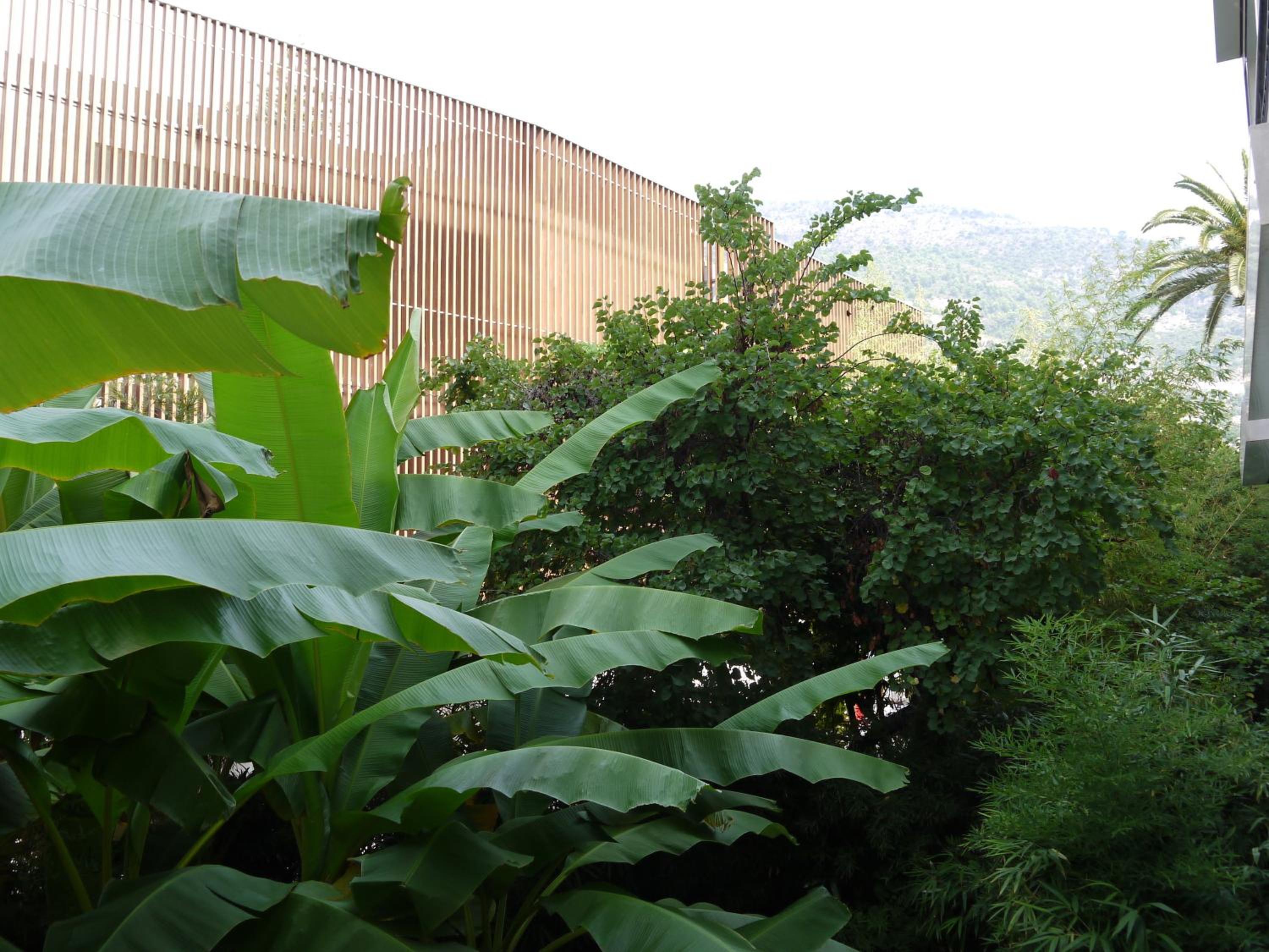 Double Room with Garden View - Photo 4