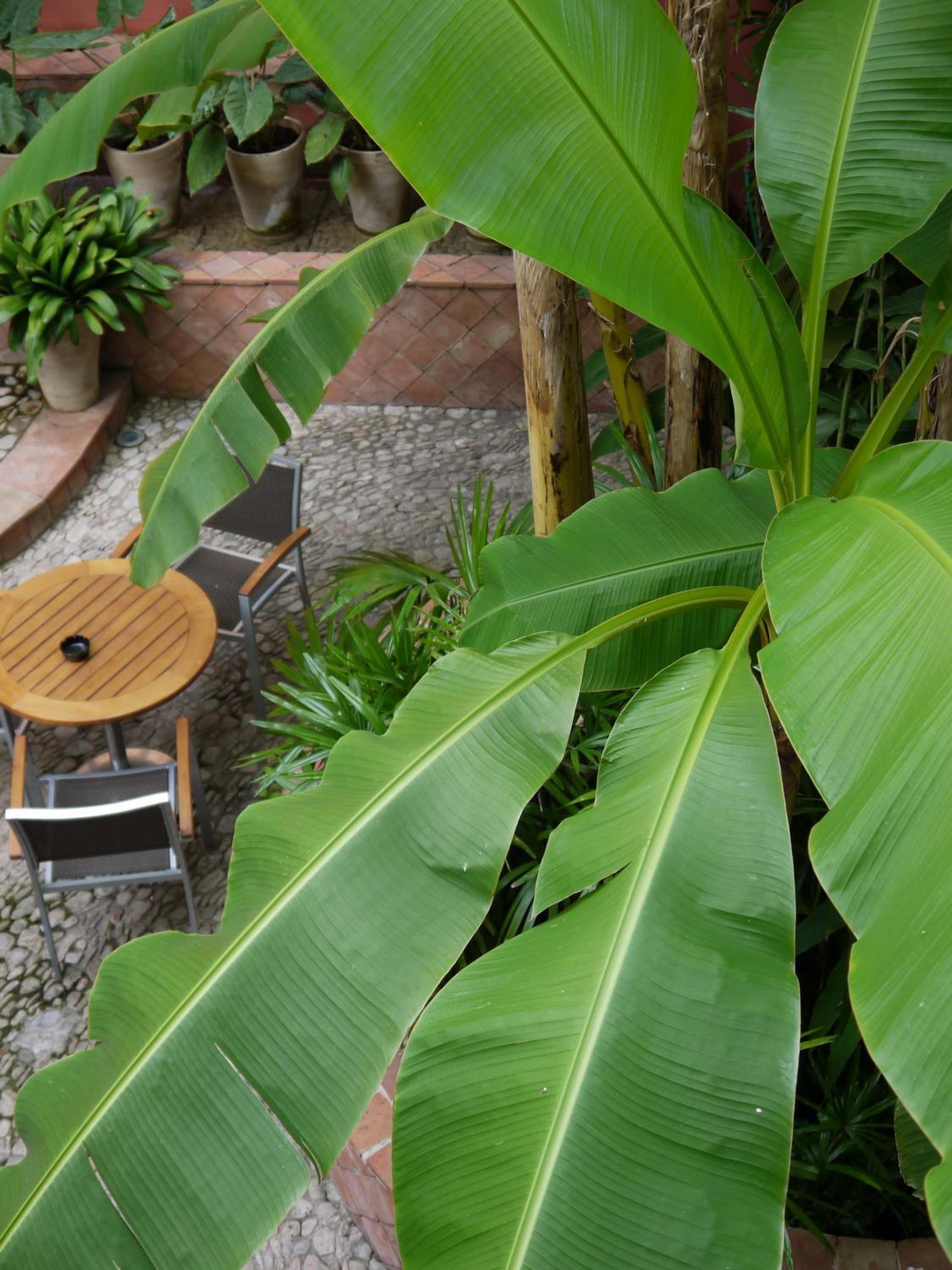 Double Room with Garden View - Photo 3