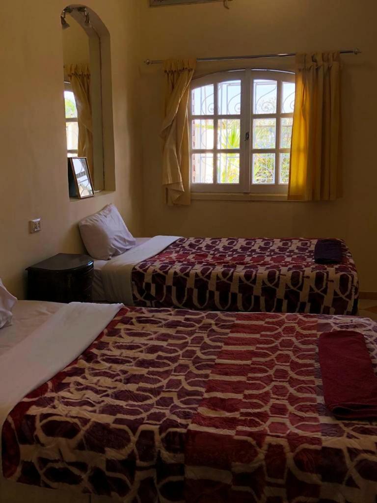 Deluxe Twin Room - Photo 1