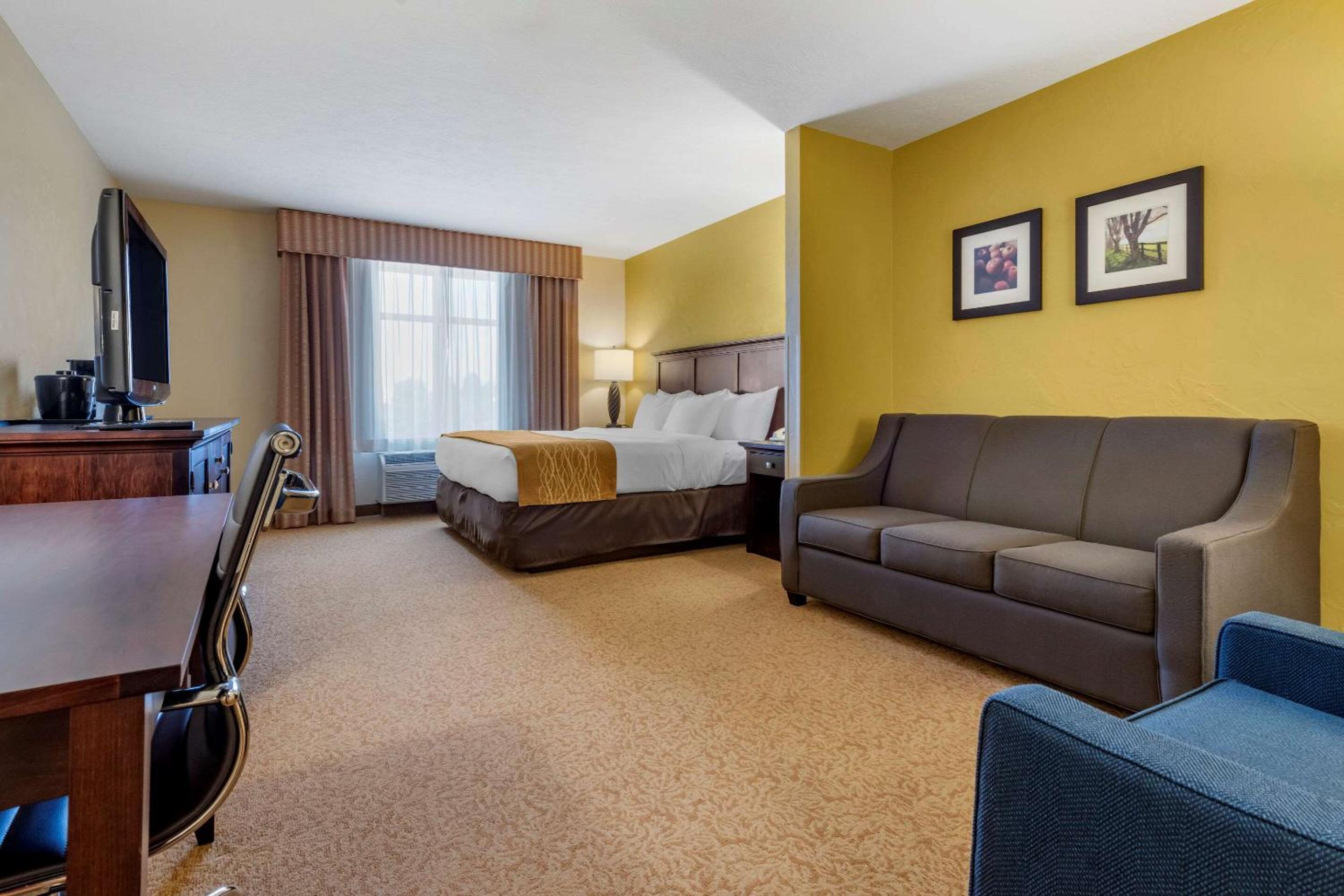 King Suite with Sofa Bed - Non-Smoking - Photo 2