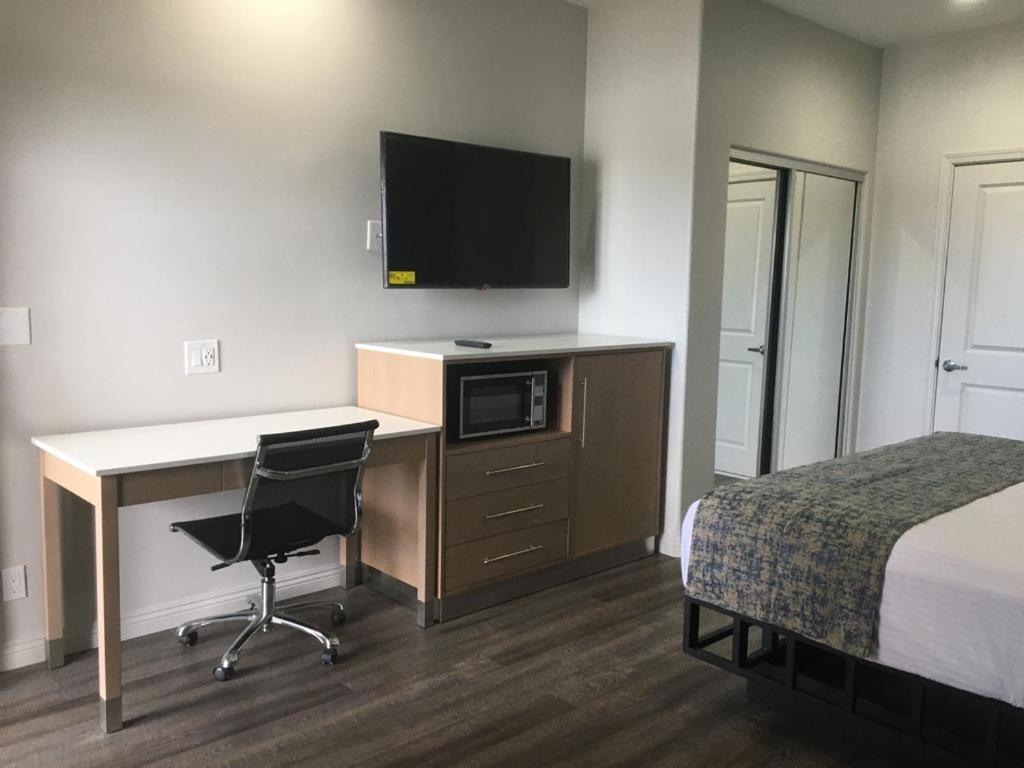 King Room photo 1