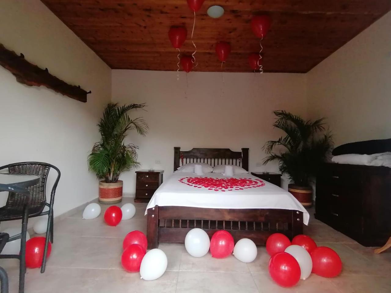 Deluxe Double Room photo 1