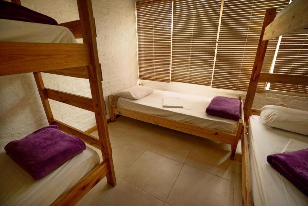 Single Bed in Female Dormitory Room with Shared Bathroom photo 3