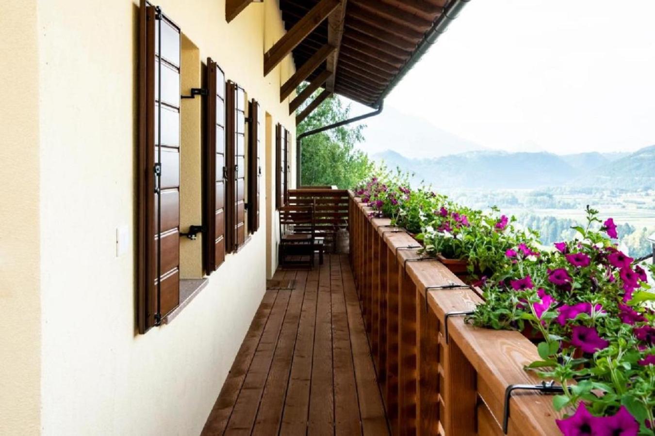 Superior One-Bedroom Apartment with Balcony - Photo 18