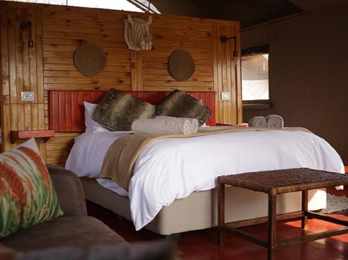 Luxury Tent photo 1