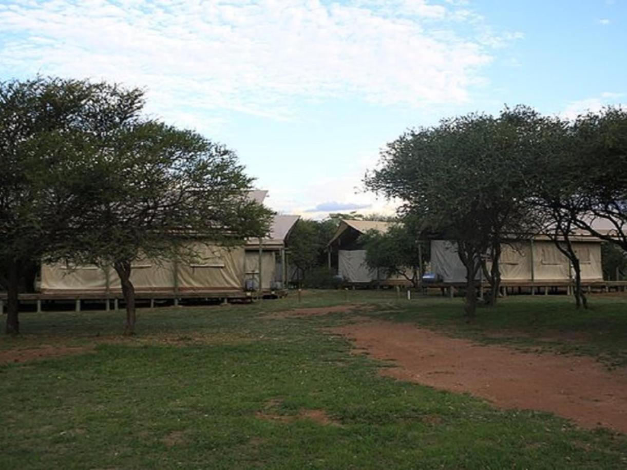Luxury Tent photo 3