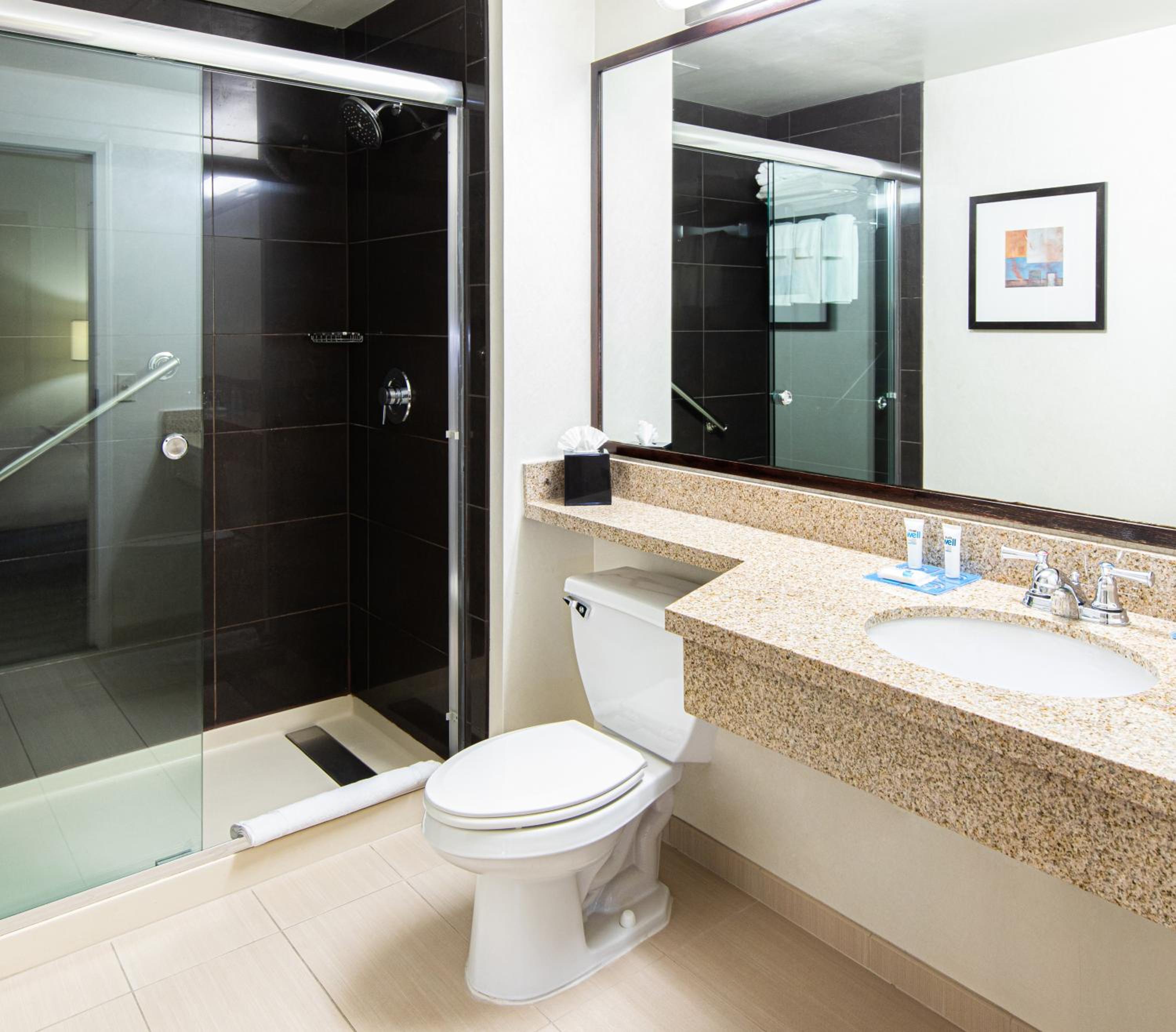 One-Bedroom Queen Suite - Photo 13