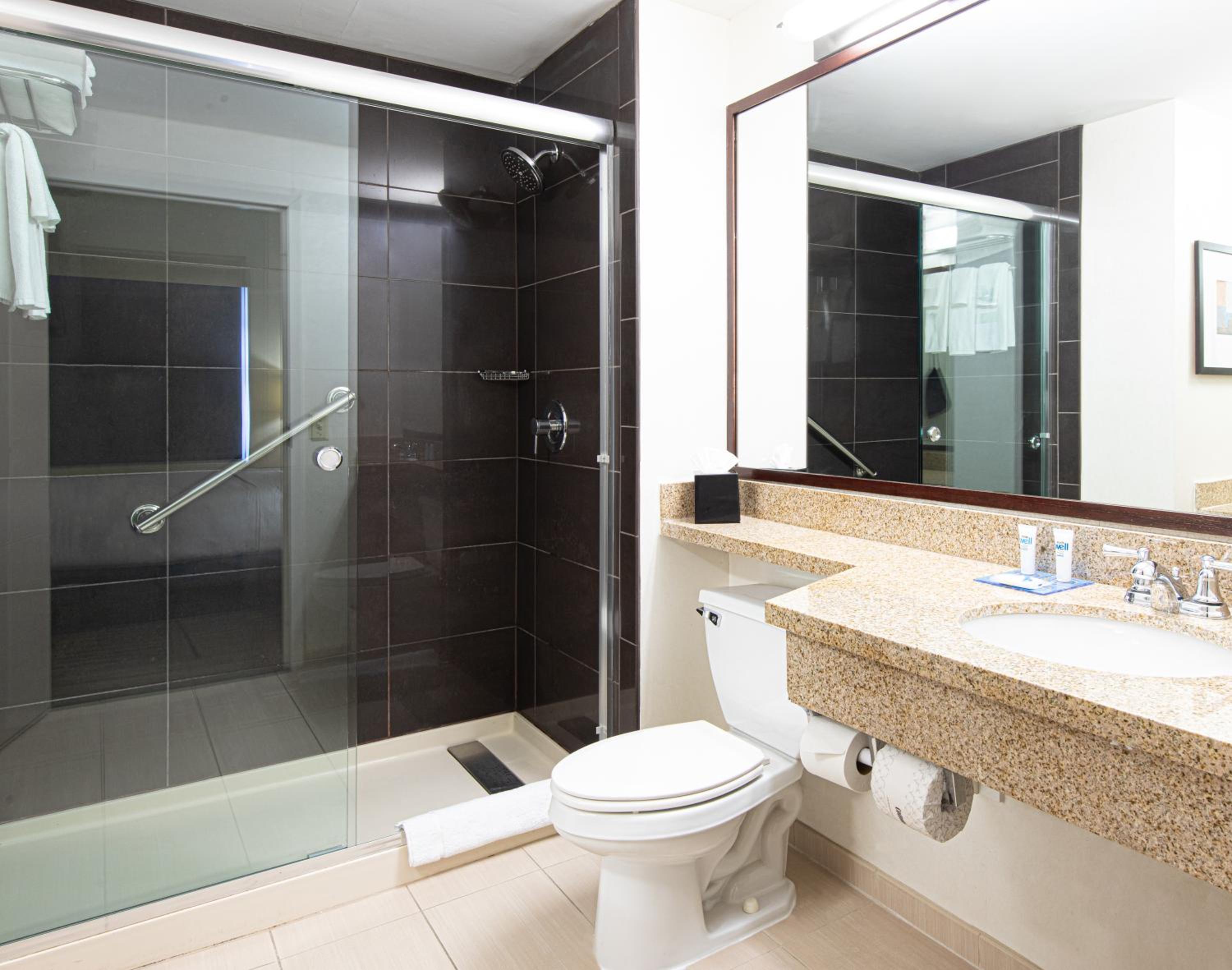 One-Bedroom Queen Suite - Photo 15