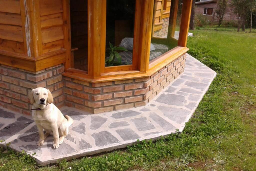 Two-Bedroom Chalet photo 3