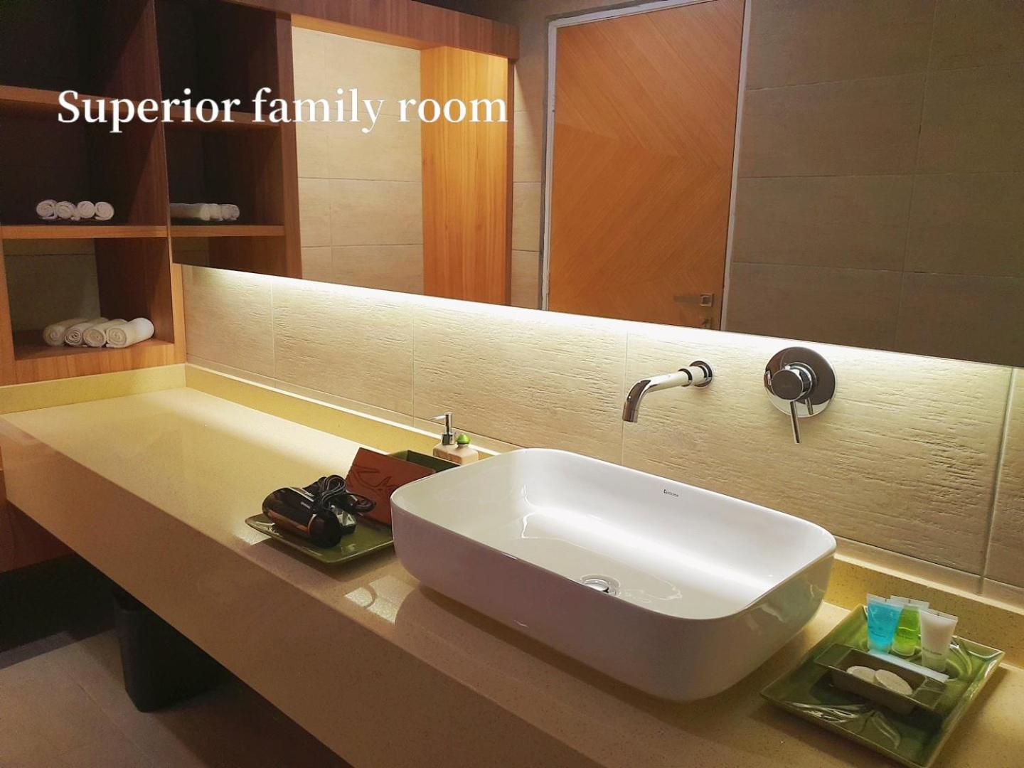 Superior Family Room - Photo 9