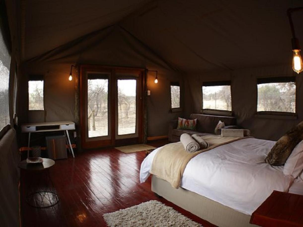 Family Tent photo 1
