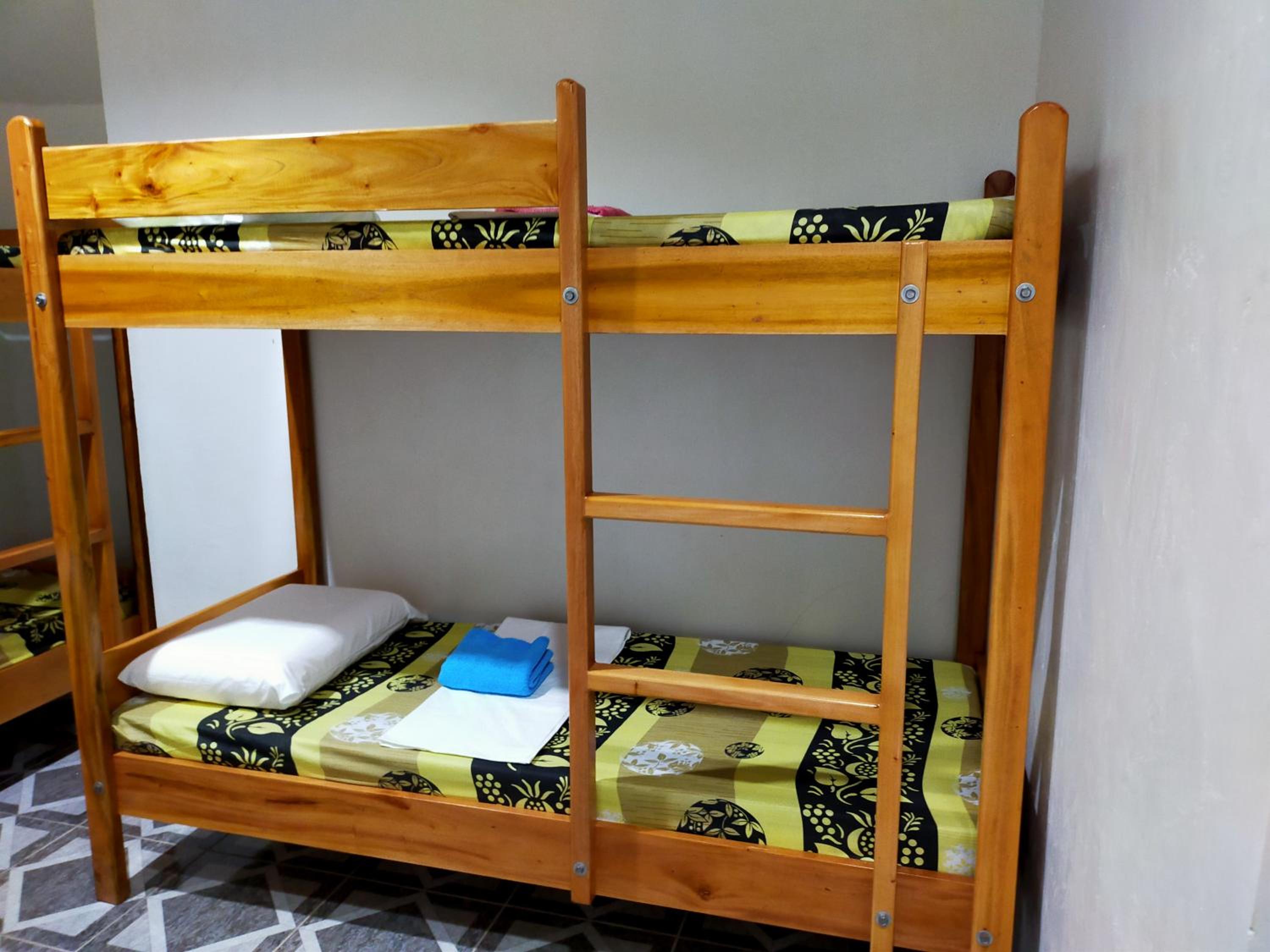 Bunk Bed in Mixed Dormitory Room photo 1