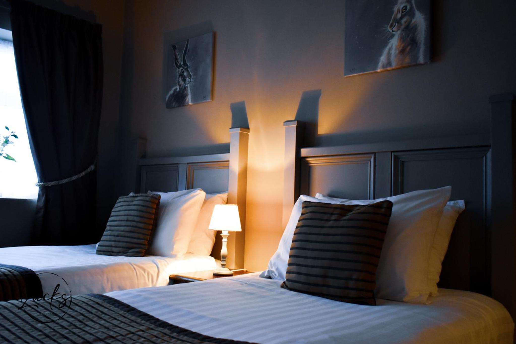 Standard Twin Room photo 3