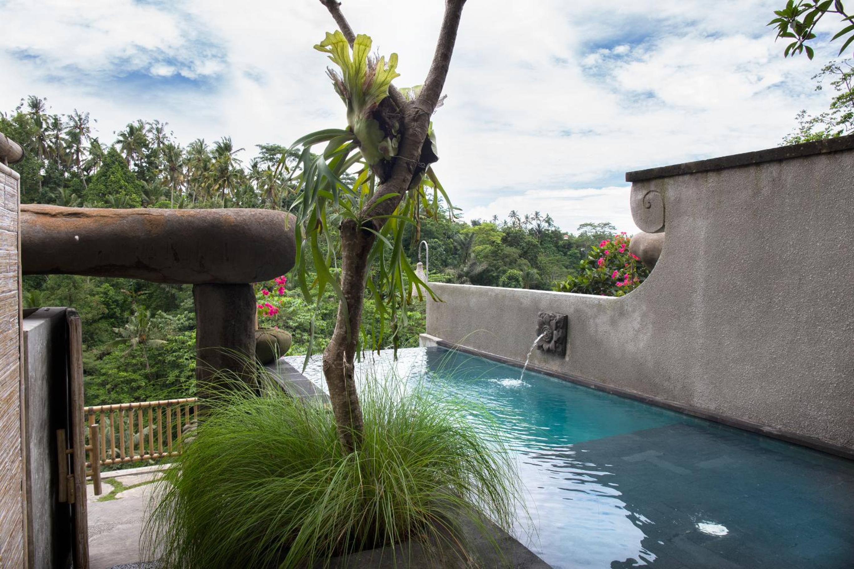 Royal Suite with Pool and Jungle View - Photo 10