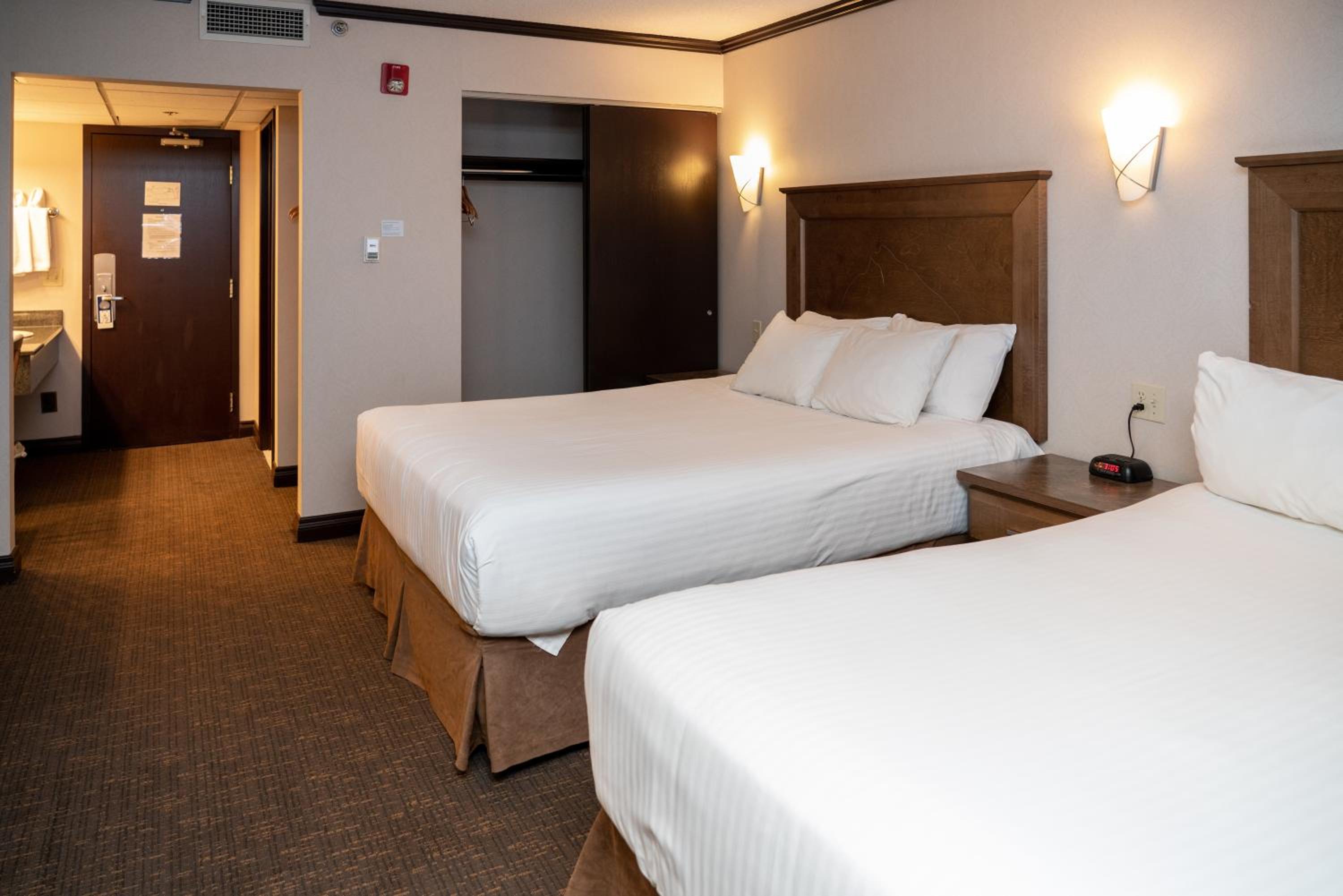 Superior Two Queen Room - Photo 5