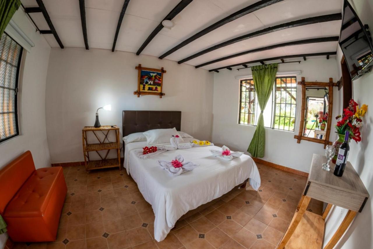Double Room photo 1
