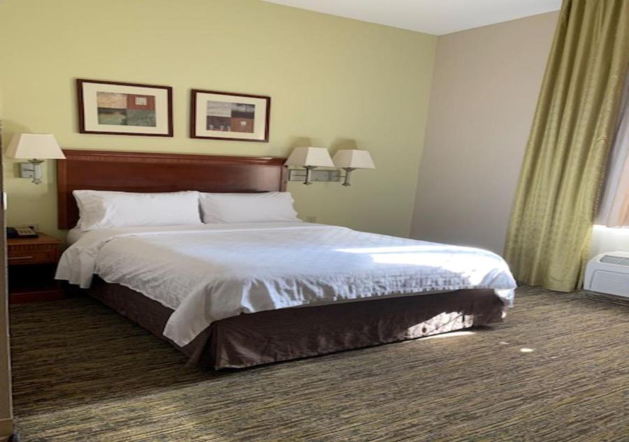 Queen Studio Suite - Photo 1