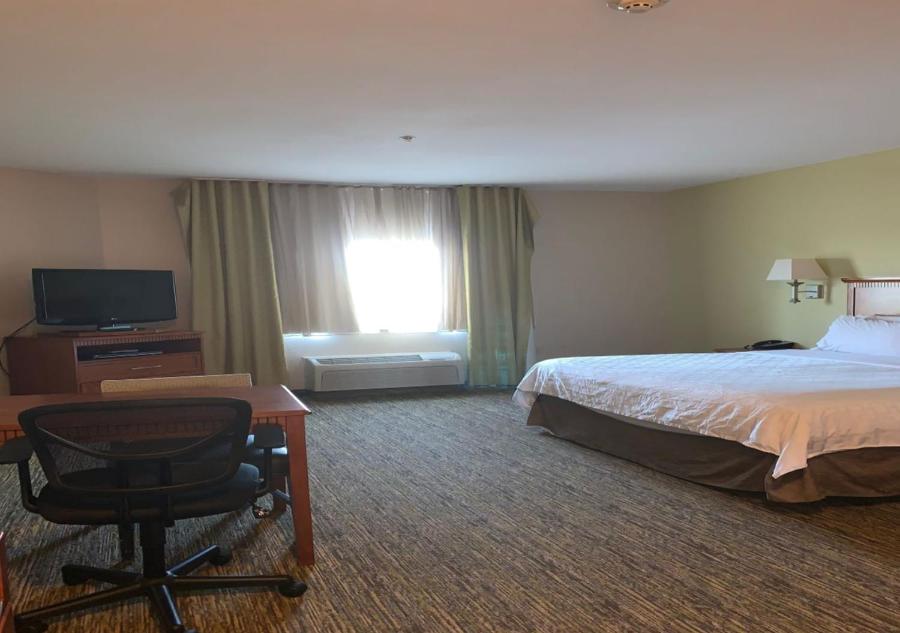 King Studio Suite - Photo 9